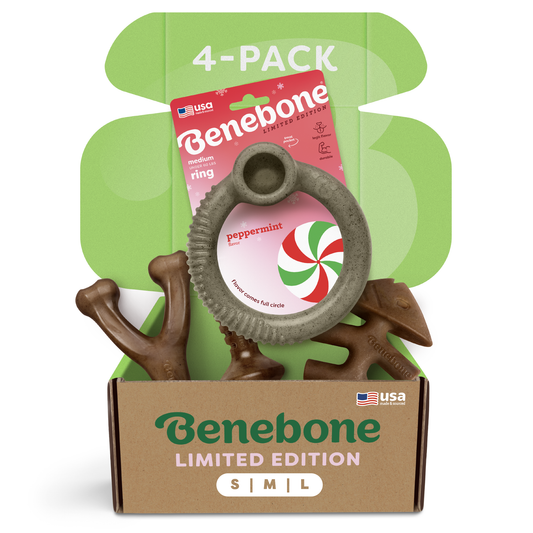 The Benebone Limited Edition Chew Collection (4-Pack) features three durable chew toys and a peppermint-flavored ring in green packaging for S/M/L dogs. Made in the USA, this bundle is displayed in an open box with visible branding.