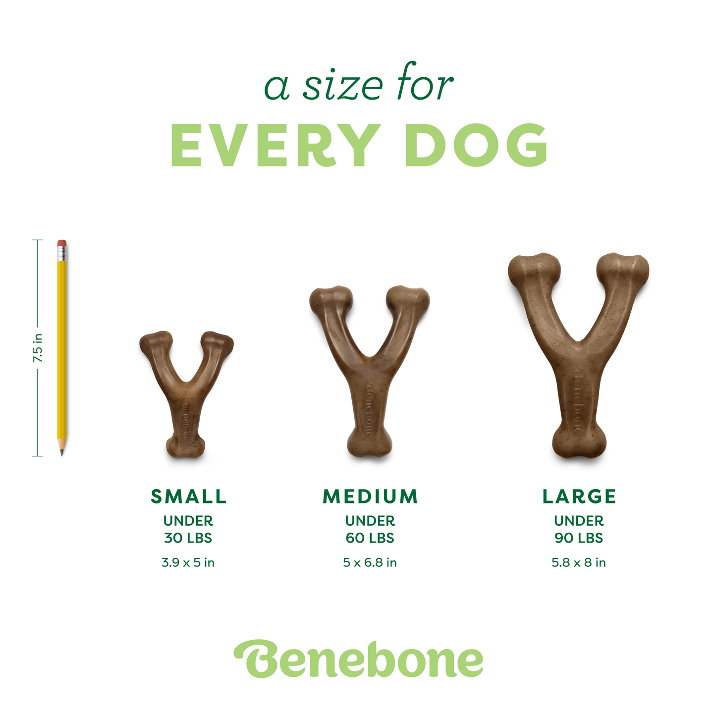 Four Y-shaped dog chew toys from Benebone’s Classic Chew Collection (4-Pack) in various sizes are displayed next to a pencil for scale. Text: A size for every dog with size and weight guidelines. Benebone logo appears at the bottom.
