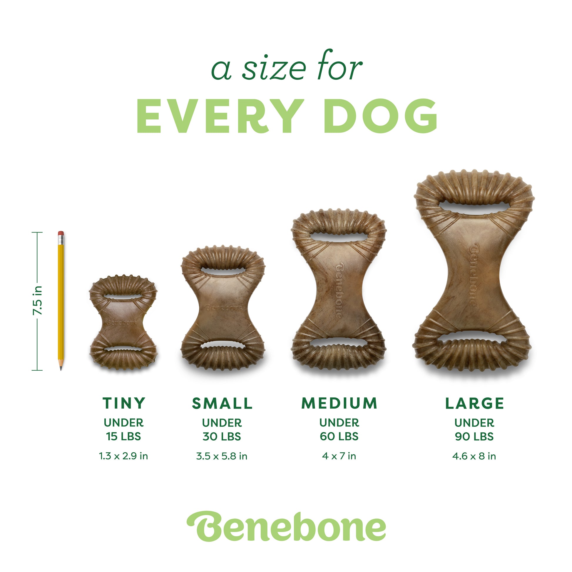 Benebone Dental Chew toys in Tiny, Small, Medium, and Large sizes are displayed next to a pencil for scale. Each bacon-flavored chew has size and weight guidelines beneath it. The text says “a size for EVERY DOG.”.