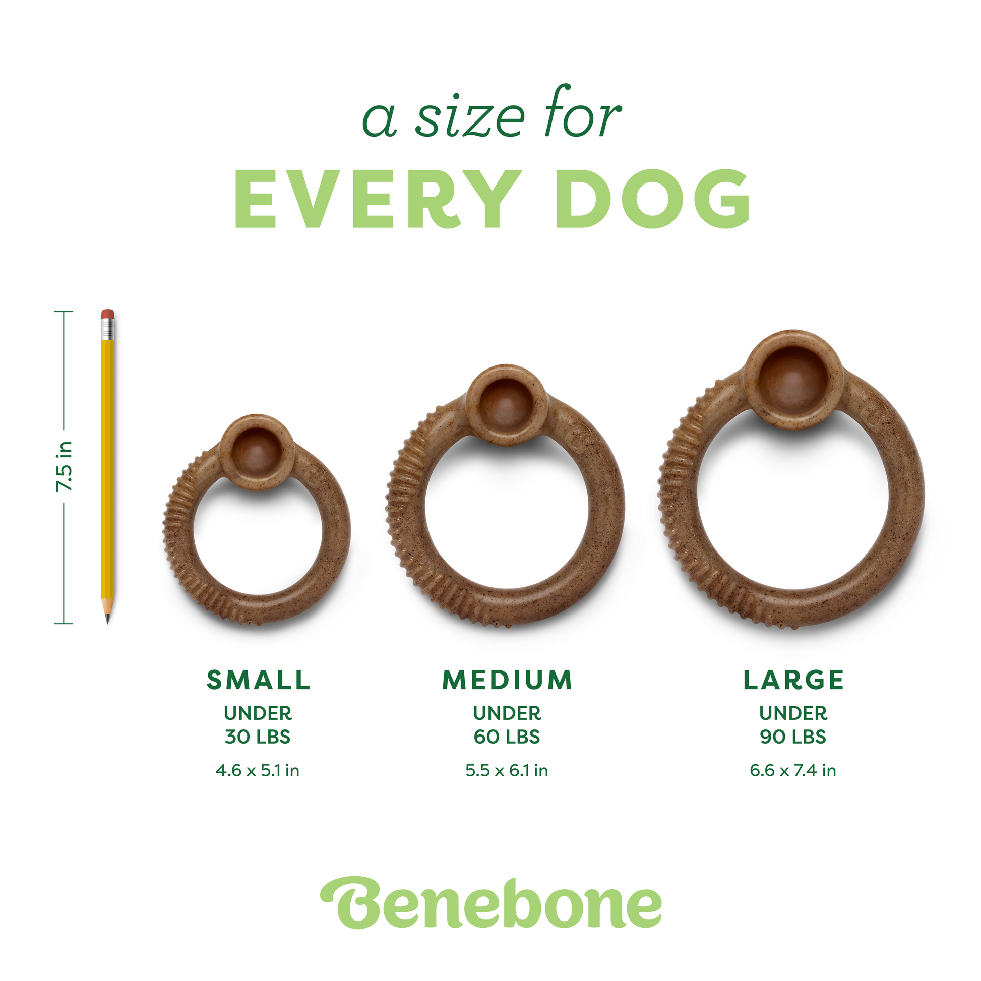 Three Benebone Ring dog chew toys in small, medium, and large sizes are shown with a pencil for scale. Each bacon-flavored chew is labeled with dog weight recommendations and product dimensions. Text: a size for EVERY DOG.