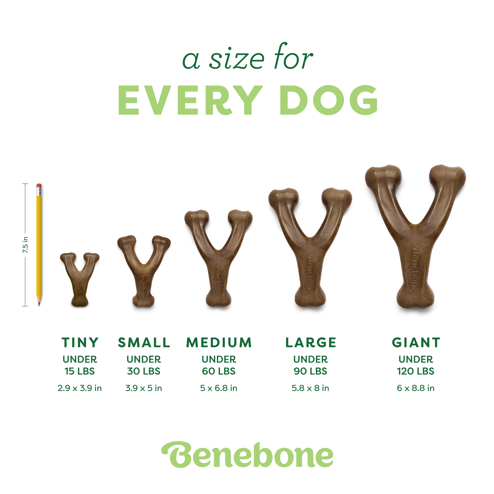 Five Benebone Wishbone dog chew toys in Tiny, Small, Medium, Large, and Giant sizes are shown beside a pencil for scale, each with listed weight limits and dimensions beneath.