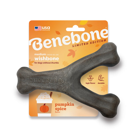 A medium Benebone Pumpkin Spice Wishbone dog chew, Y-shaped and limited edition, sits before autumn-themed packaging labeled with pumpkin spice flavor and icons for legit flavor and durability.