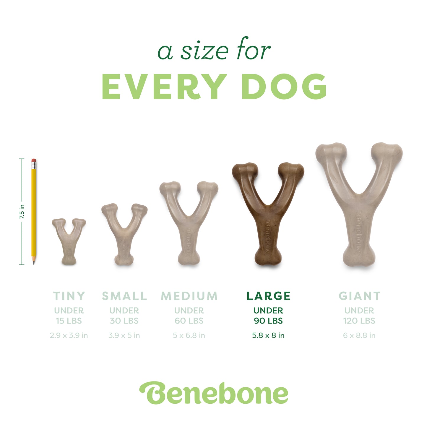 Benebone Wishbone Trio chew toys in Tiny, Small, and Medium sizes shown with a pencil for scale. Text: A size for EVERY DOG. Discover the perfect durable dog toy from Benebone.