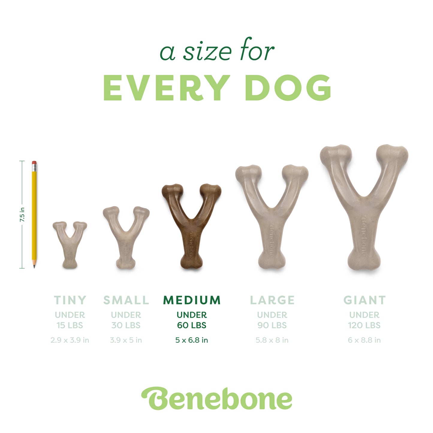 Five Benebone Wishbone Trio chew toys, shown in sizes tiny to giant for different dog weights, are displayed from left to right with a pencil for scale. These durable toys are made by Benebone.