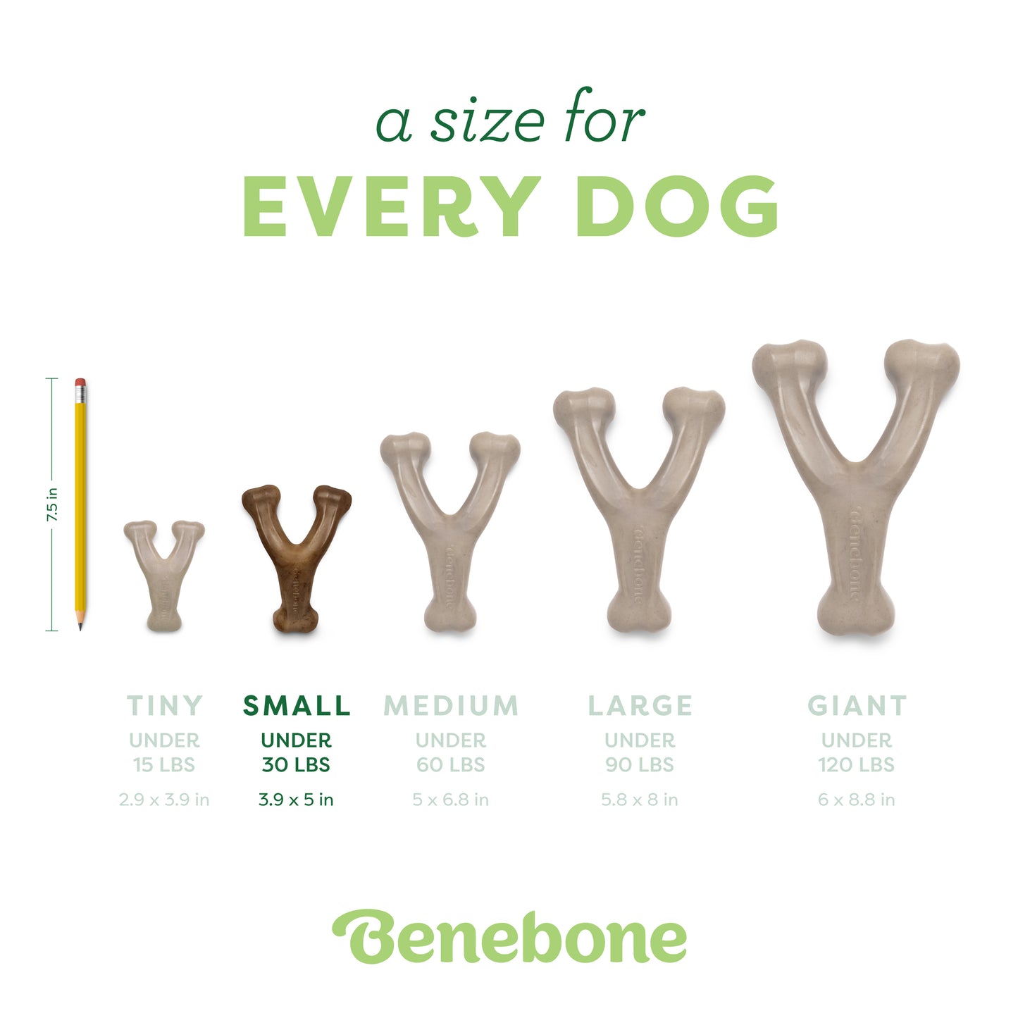 Five Benebone Wishbone Trio dog chew toys in sizes tiny, small, medium, large, and giant are shown next to a pencil for scale. Each durable toy lists its weight and dimensions. The Benebone logo appears at the bottom.