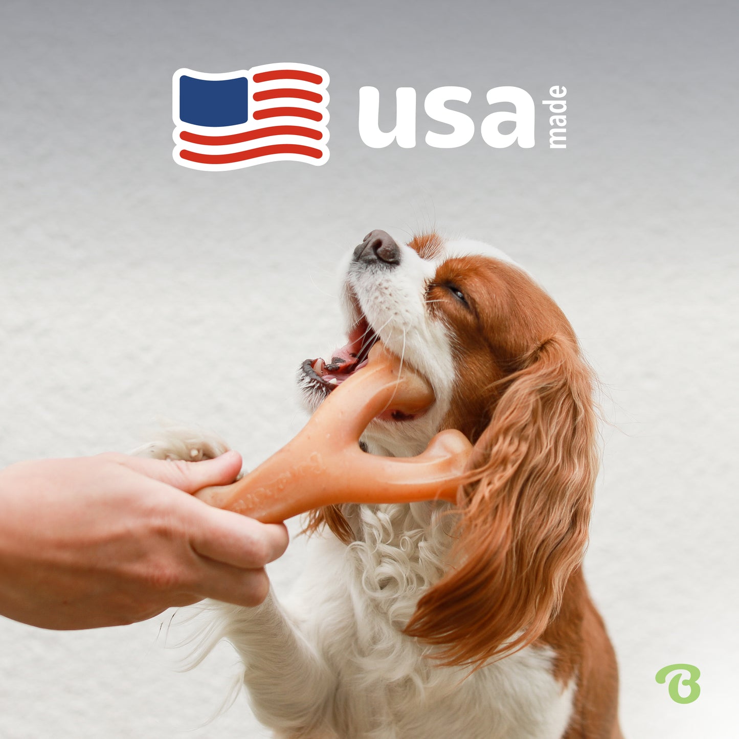 A person holds the Benebone Wishbone Trio as a brown and white dog chews on it. Above, a wavy American flag icon and USA Made text appear. The background is plain and light-colored.