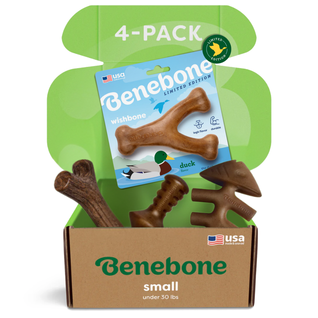 Open a Benebone Limited Edition Chew Collection box (50% off) labeled for small dogs, showing four durable chew toys in various shapes and a green package marked “Benebone wishbone - limited edition, duck” inside.