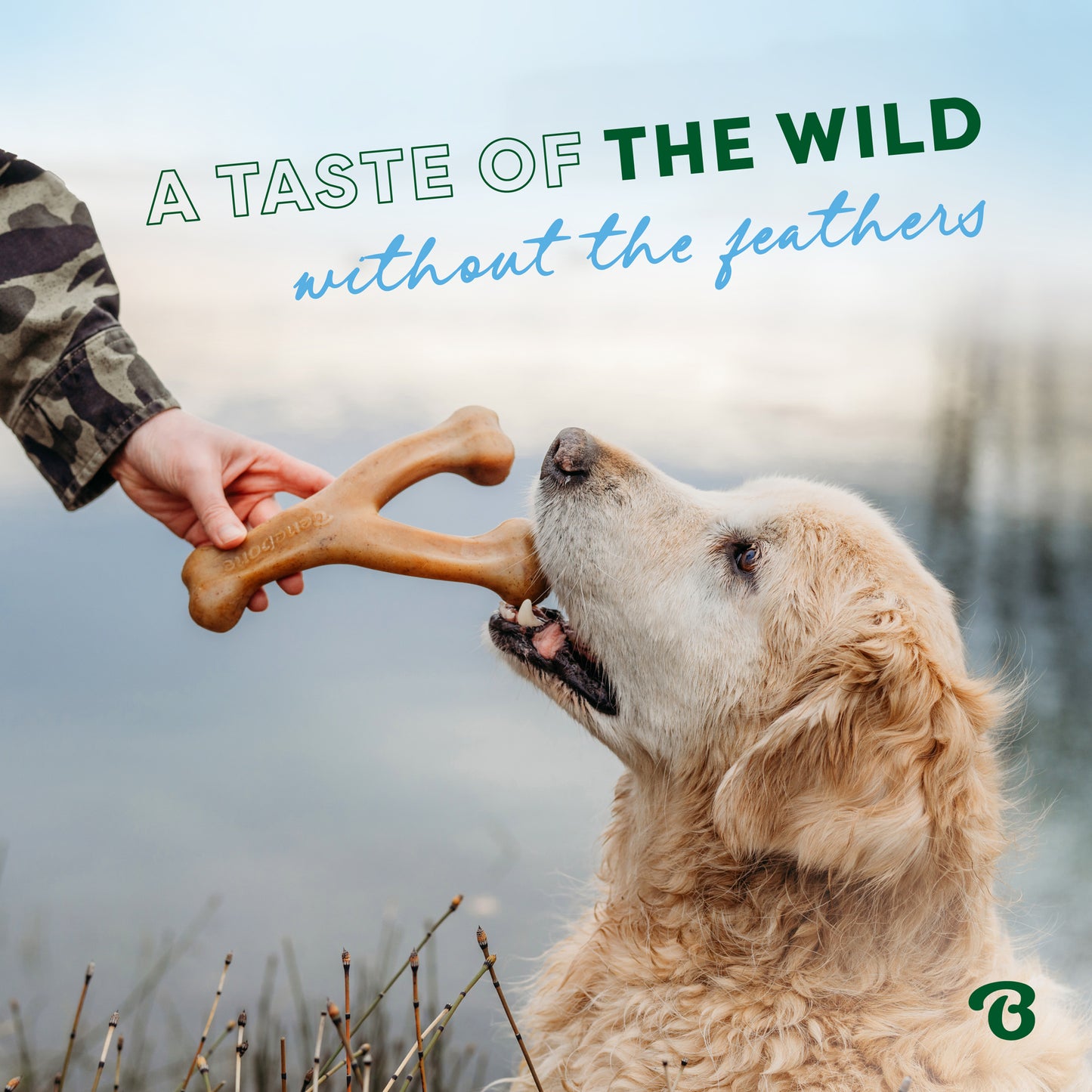 A person offers a big bone-shaped treat to a golden retriever by the water. Text reads: Grab Benebone’s Limited Edition Chew Collection—now 50% off—for a tail-wagging moment without the feathers!.