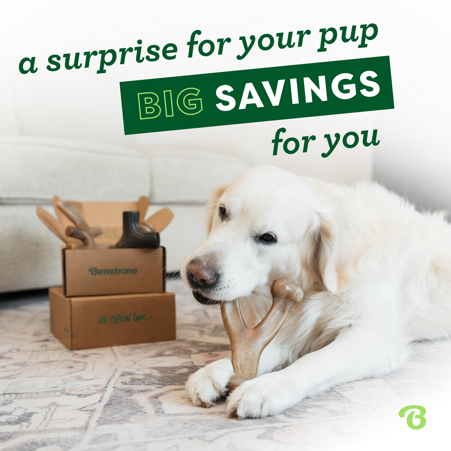 A golden retriever chews a durable toy on the floor, with two Benebone Mystery Box packages nearby. Text: Surprise your pup and save big with the Benebone Mystery Box.