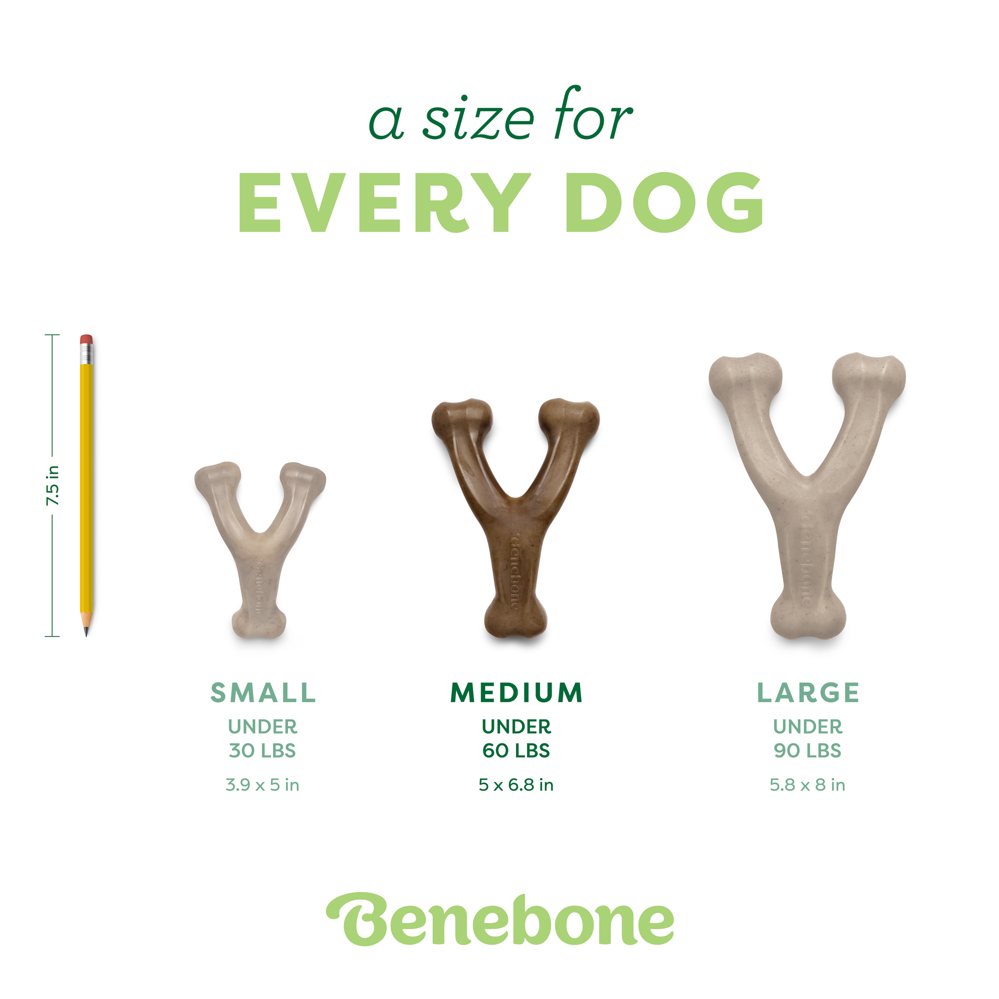 Three Benebone Mystery Box dog chew toys in small, medium, and large are shown next to a pencil for scale. Each durable toy is labeled with recommended weight and dimensions. Benebone: a size for every dog appears at the top.