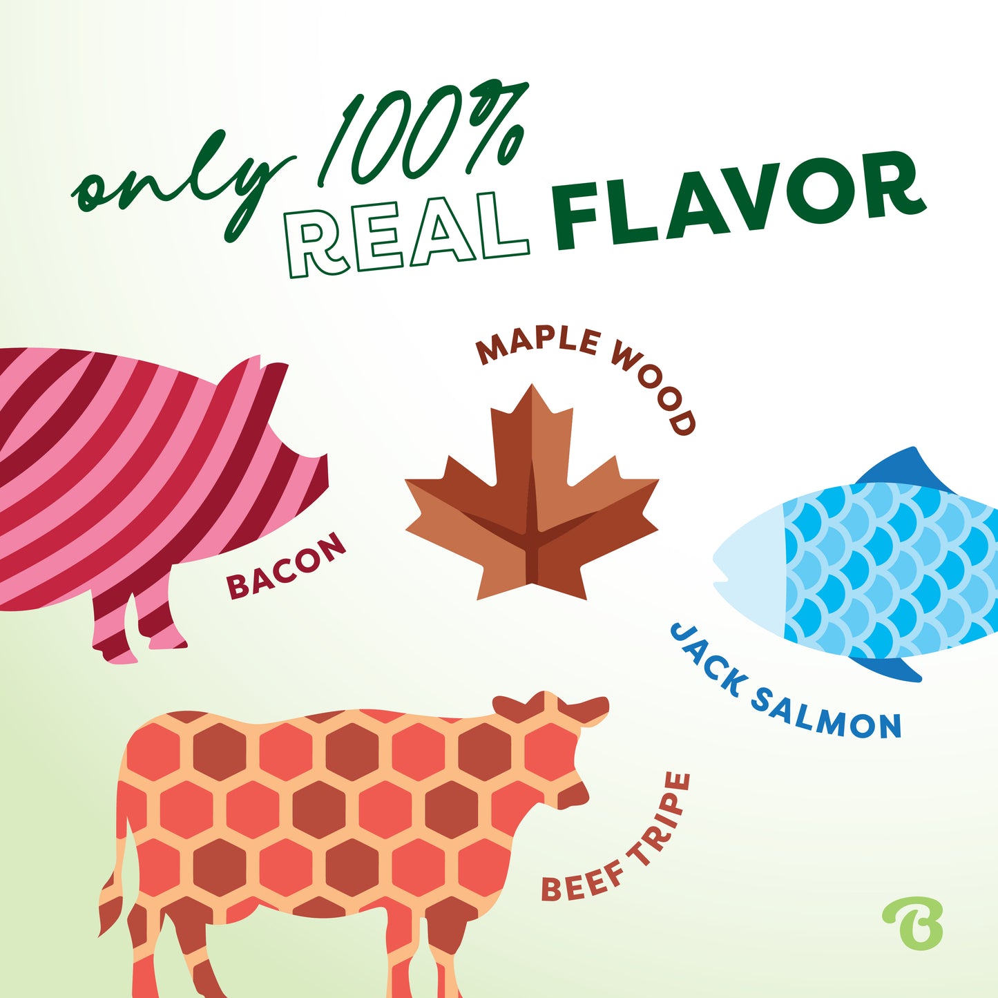Stylized pig, maple leaf, fish, and cow illustrations with only 100% REAL FLAVOR, inspired by the Benebone Complete Chew Collection of durable dog chew toys.