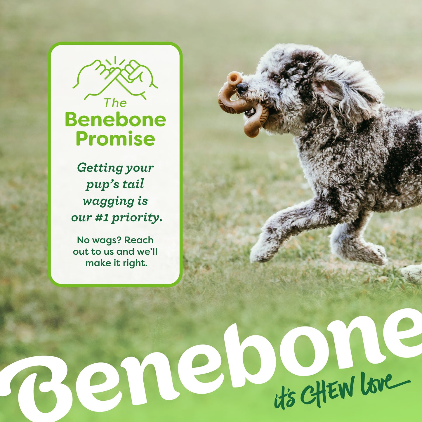 A small dog runs on grass with a chew toy in its mouth. A sign reads, “The Benebone Promise: Getting your pup’s tail wagging is our #1 priority.” Discover Benebone’s Complete Chew Collection—durable toys for happy dogs.