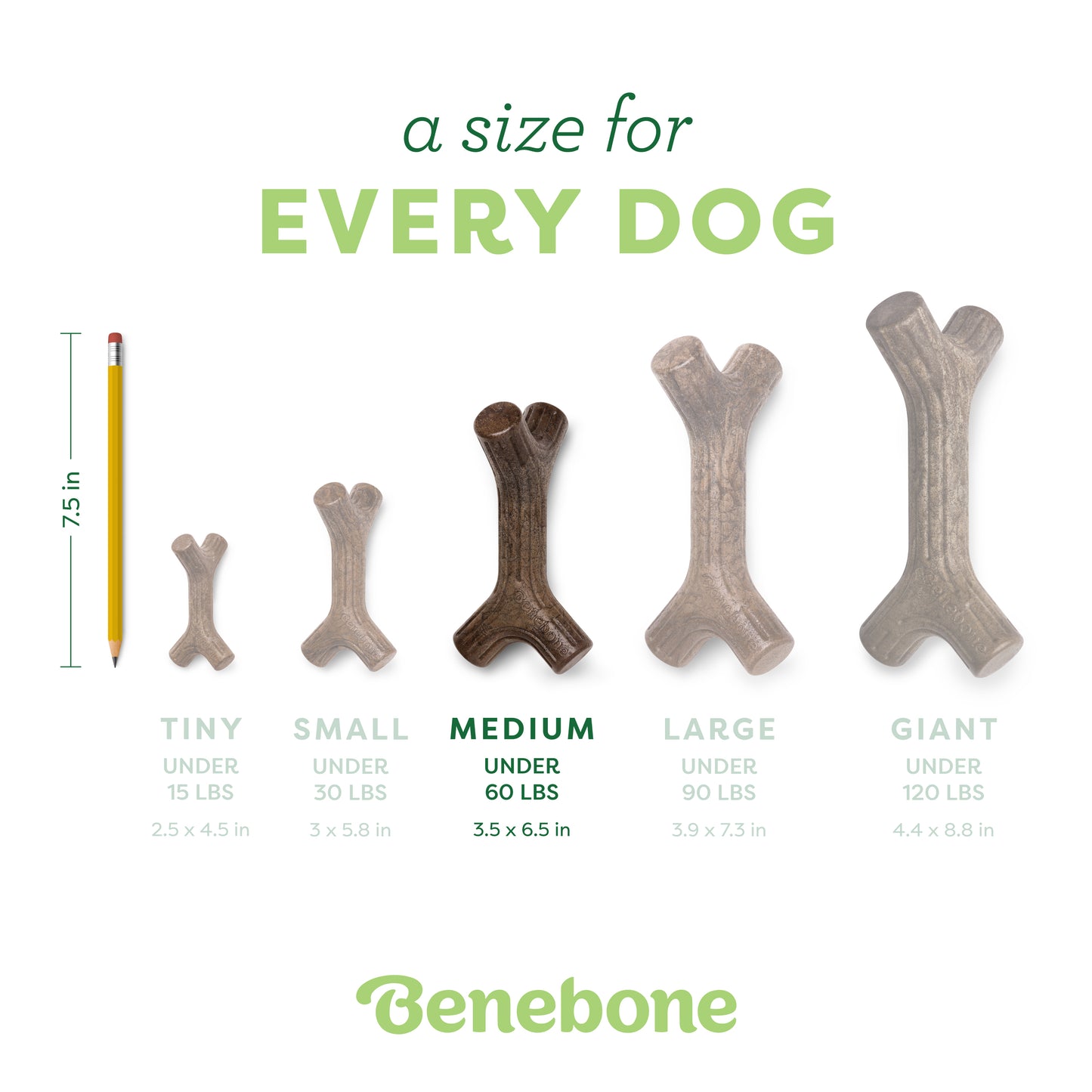 A size for every dog. Size guide: medium maplestick, under 60 lbs.