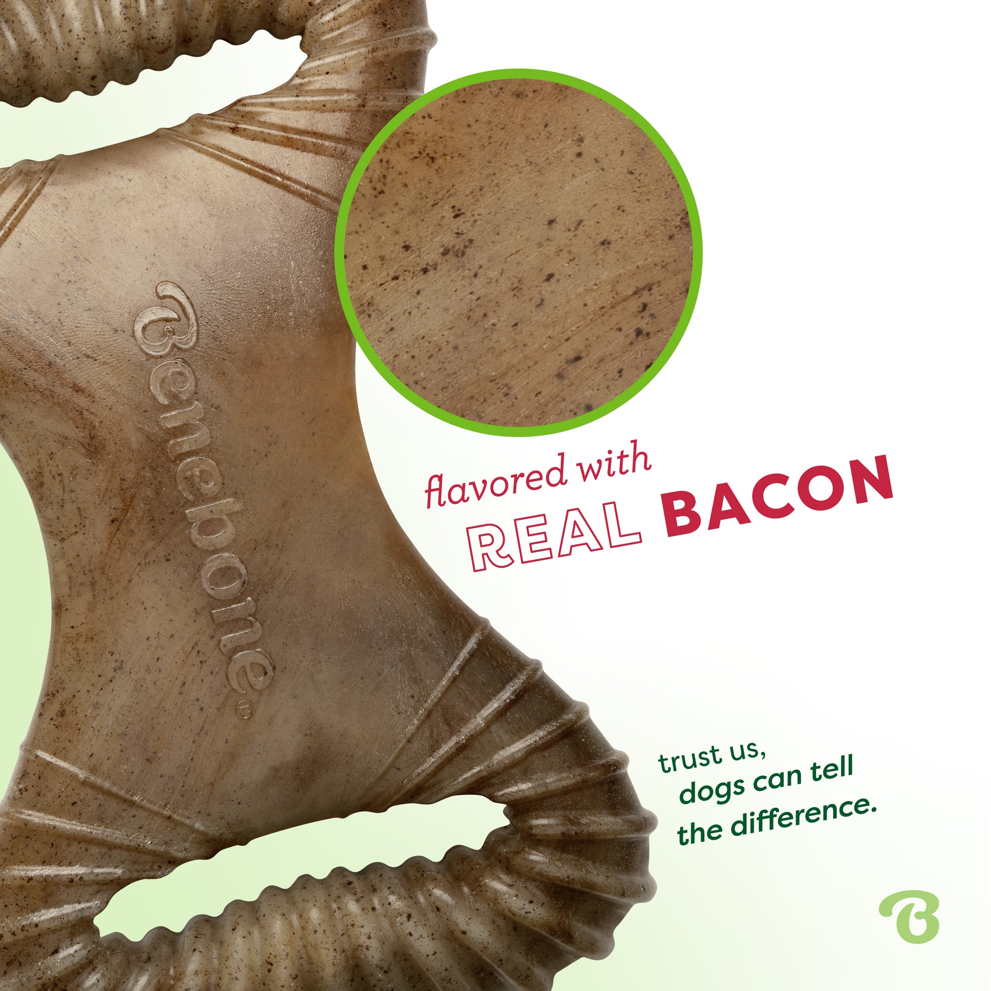 Flavored with real bacon. Trust us, dogs can tell the difference. Close up of a Benebone bacon dental chew.