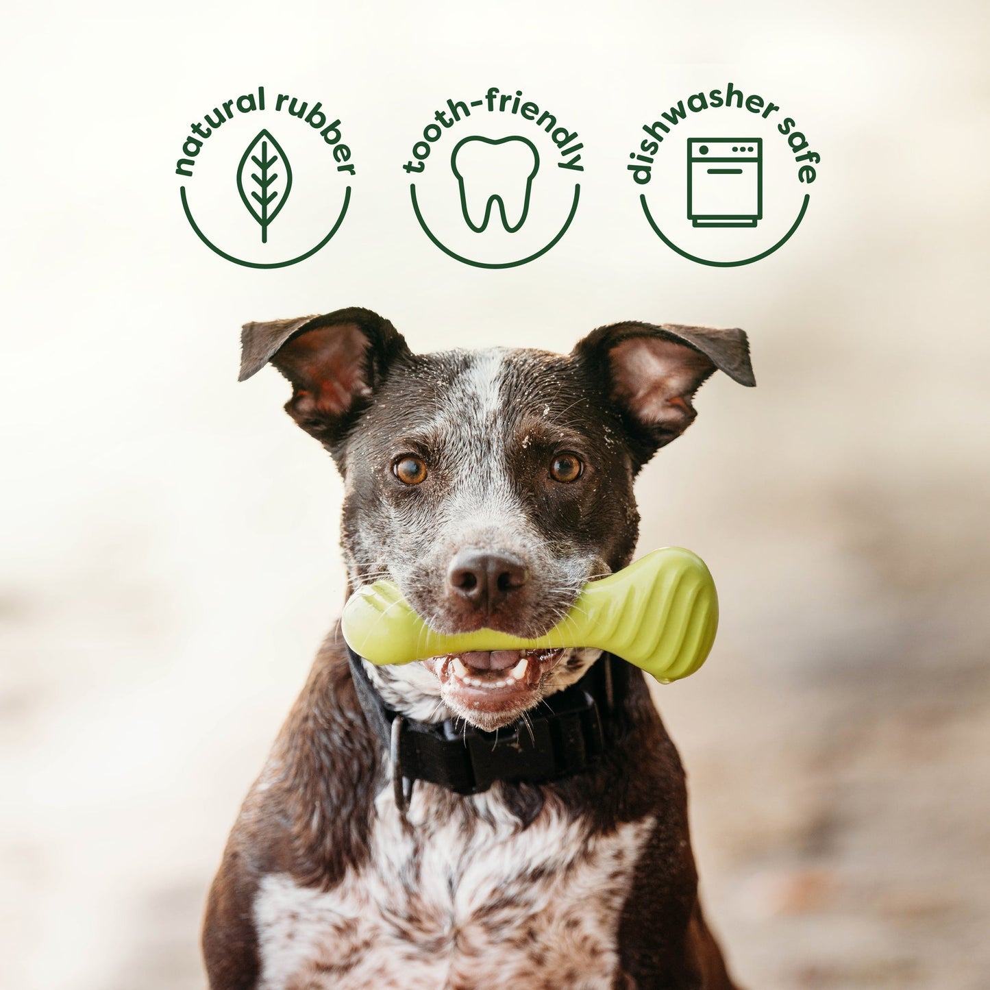 The Benebone Bounce Bone is Made with Natural Rubber, Tooth-Friendly, and Dishwasher Safe.