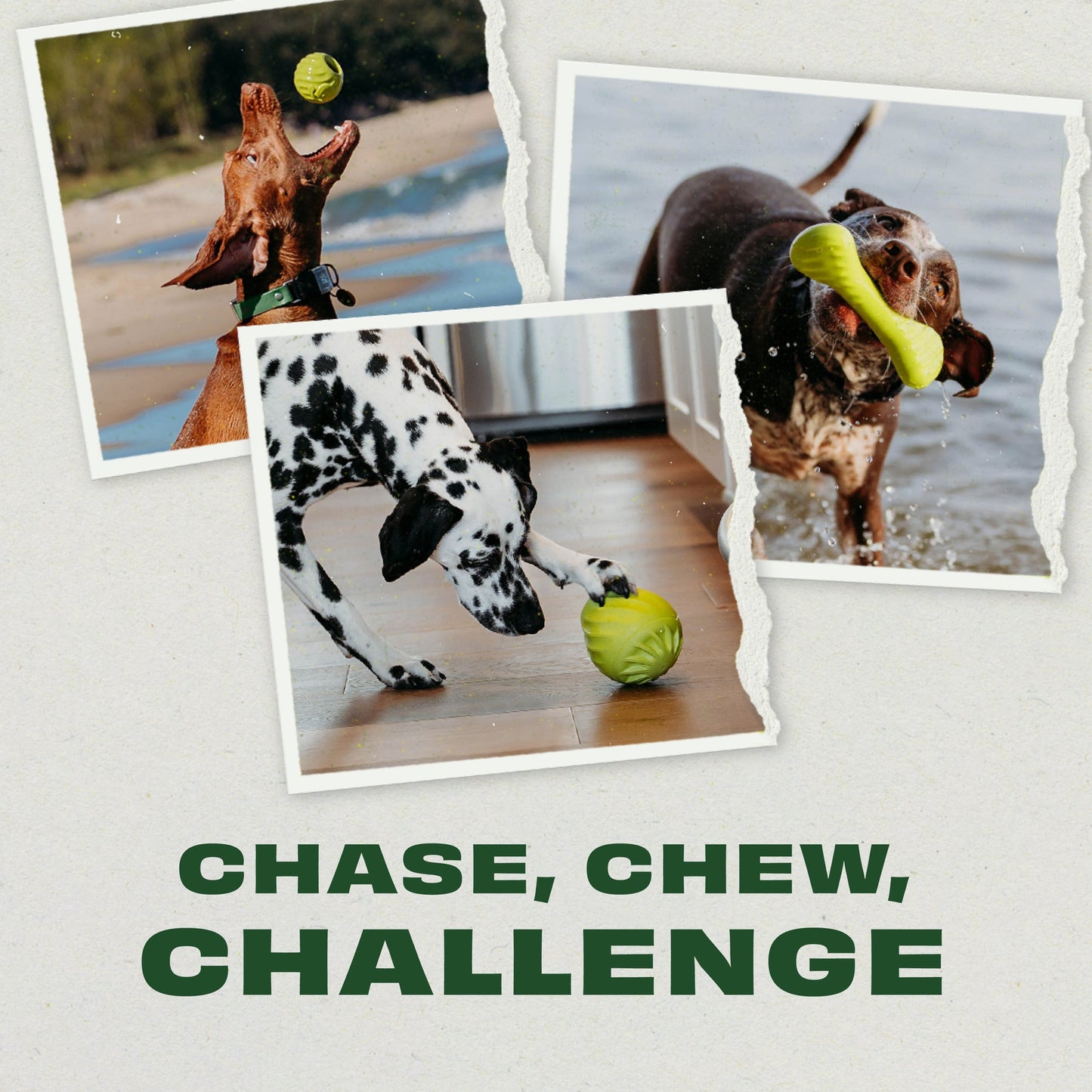 Chase, Chew, Challenge: Rubber 3-Pack consisting of the Ball, Bone and Pawbler made of durable natural rubber.