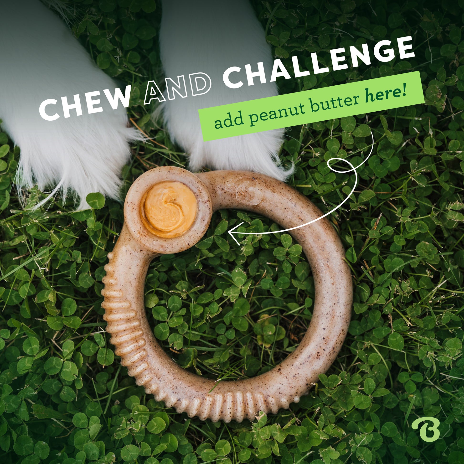 The Benebone Ring, a durable dog toy, rests on green grass near white furry paws. Text: Chew and Challenge—add peanut butter here! An arrow highlights the dental health spot on this Benebone Ring.