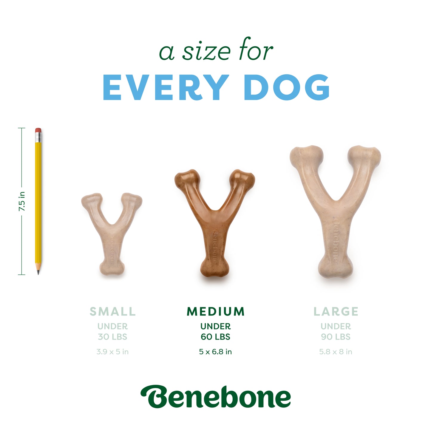 A Size for Every Dog: Medium (under 60 lbs)