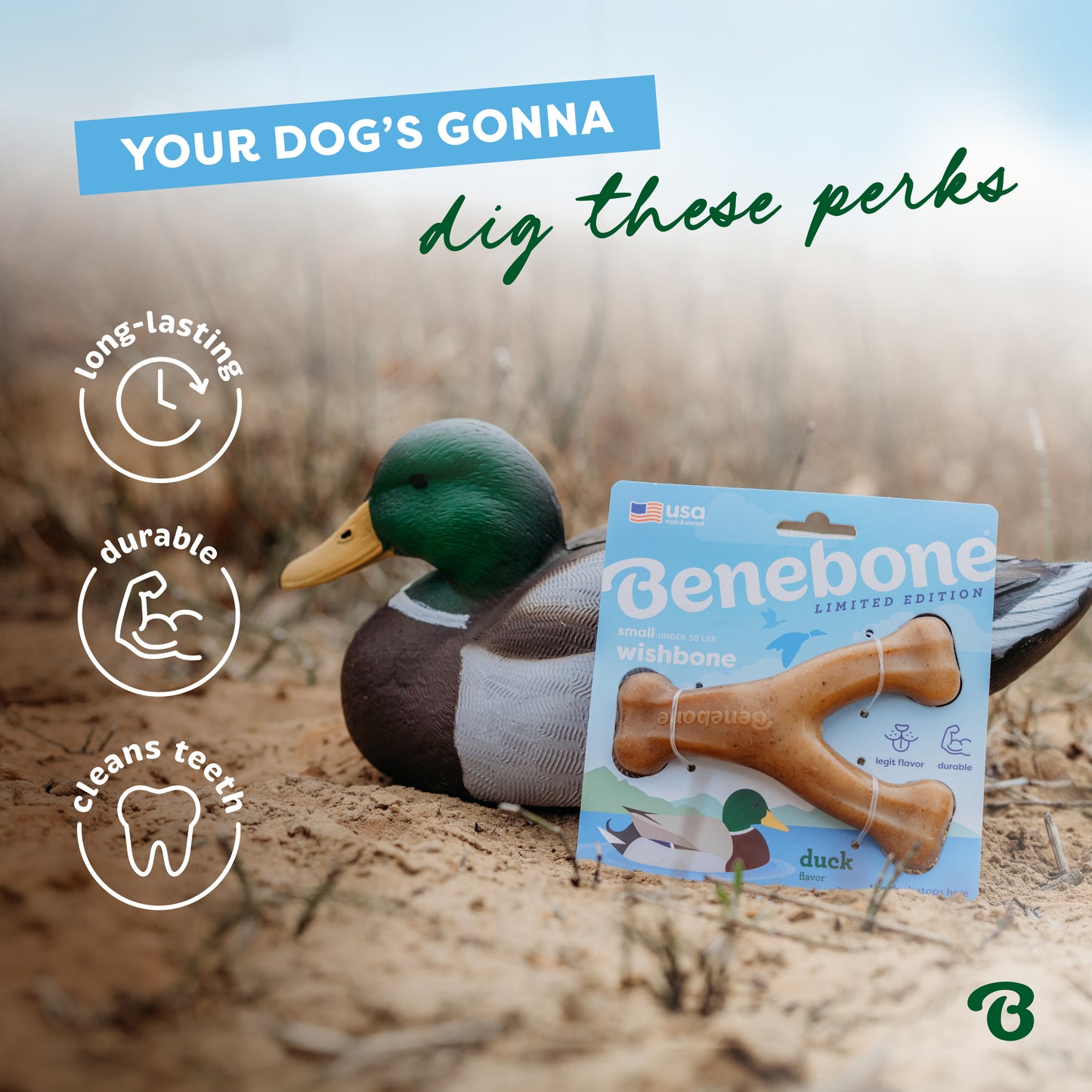 Your Dog's Gonna Dig These Perks: Long-Lasting, Durable & Cleans Teeth.