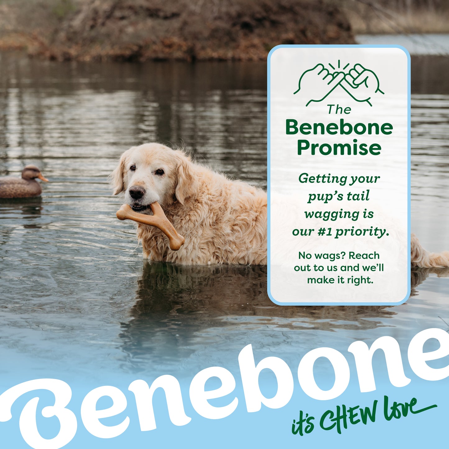 The Benebone Promise: Getting Your Pup's Tail Wagging is Our #1 Priority. No wags? Reach out to us and we'll make it right.