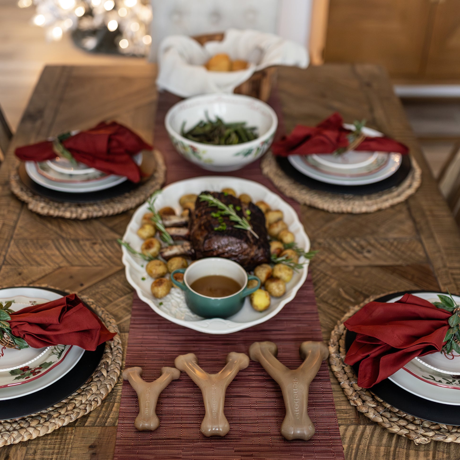 Benebones on dinner table with human meal