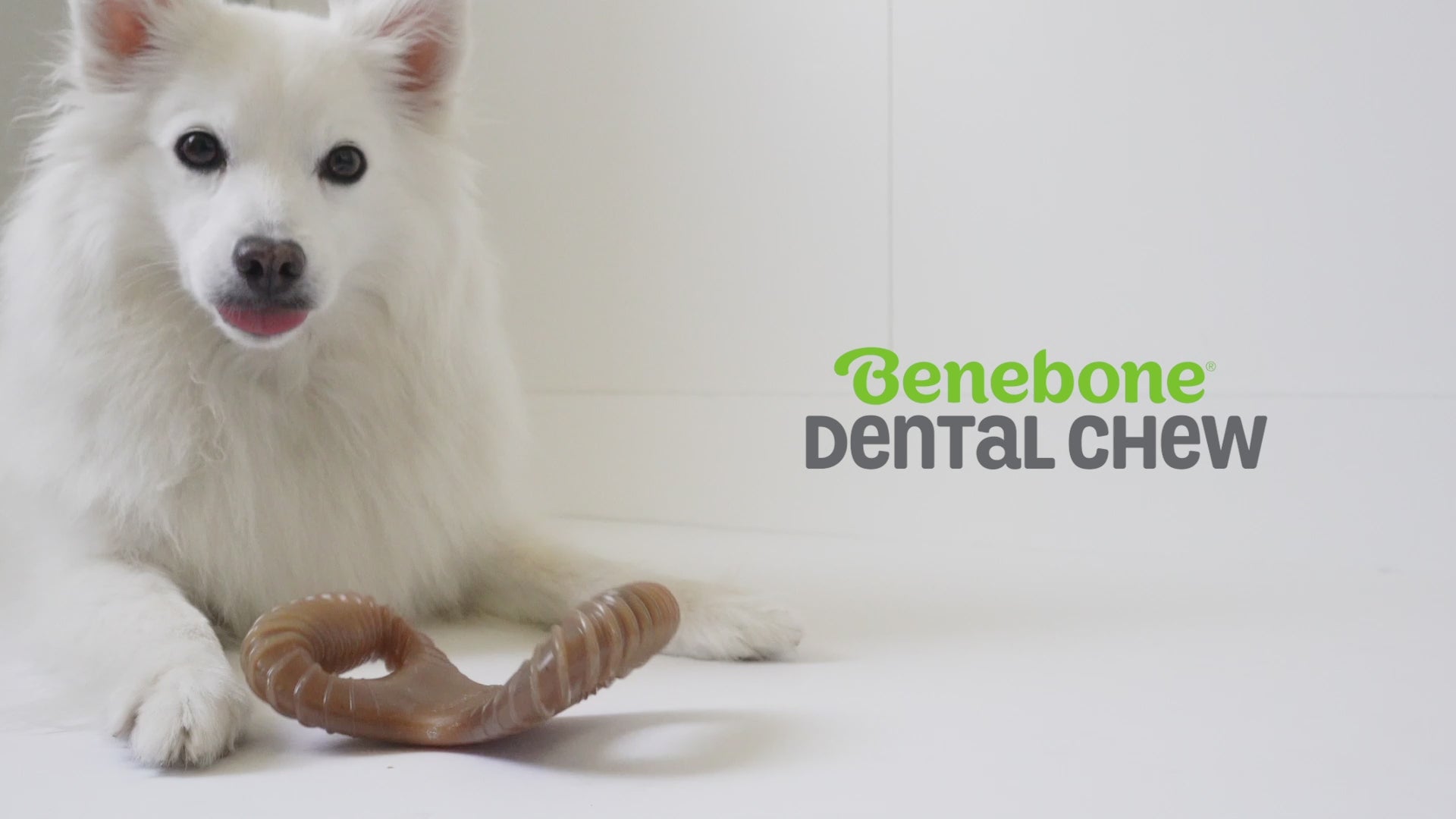 Benebone dental chew video with music only no talking