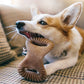 Dog with Dental Chew Benebone