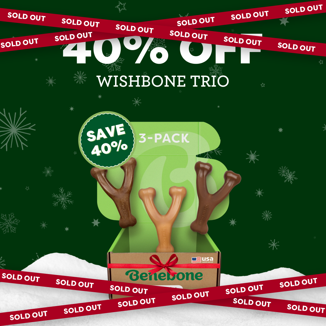 Promotional graphic for BeneBone Wishbone Trio 3-pack dog chews, showing three wishbone-shaped chews in a box with 40% OFF and SAVE 40% text; red SOLD OUT banners border the image.
