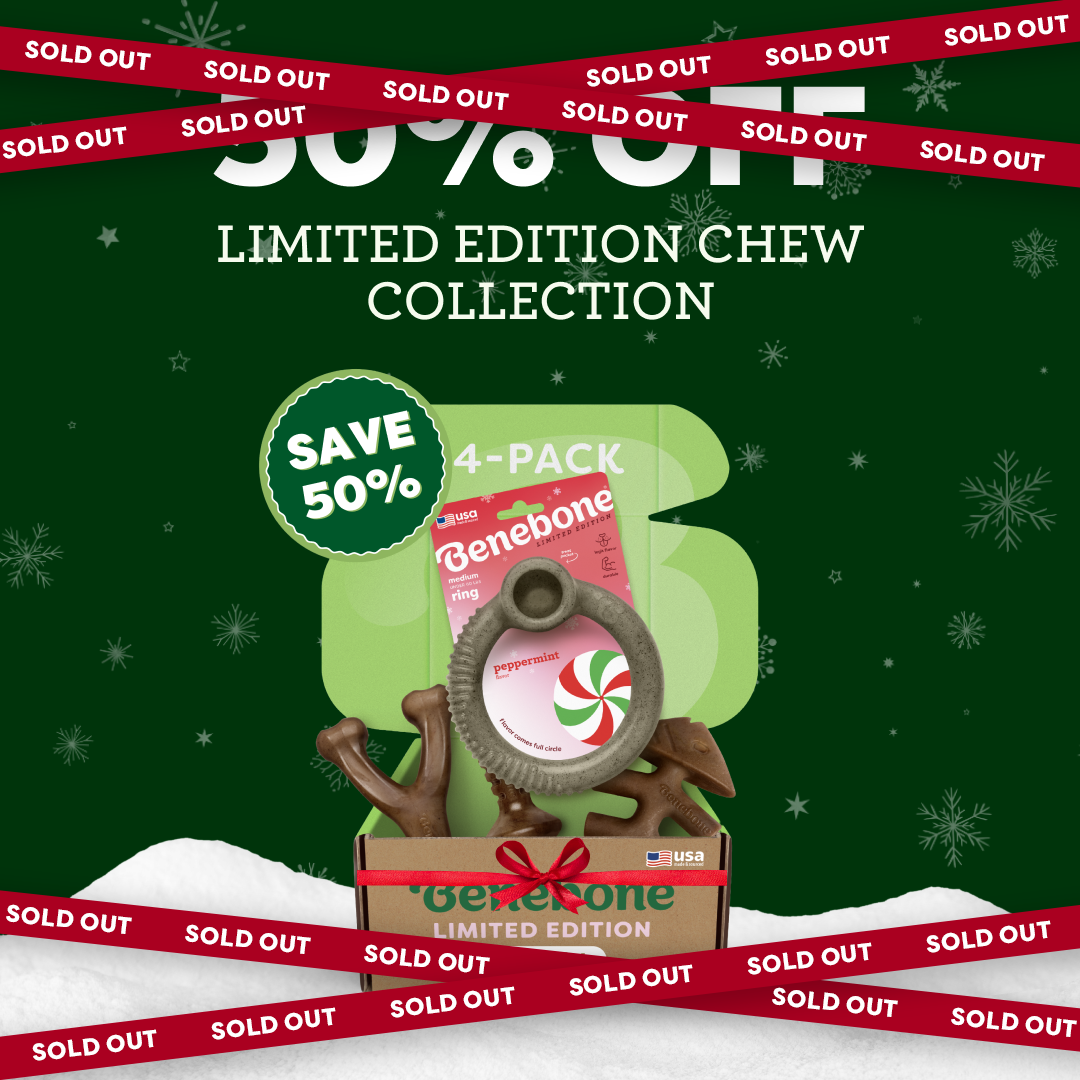 A holiday-themed advertisement for Benebones limited edition chew collection, showing a box of dog chews with a Save 50% badge. Red SOLD OUT banners cross the image diagonally. Snowflakes decorate the green background.