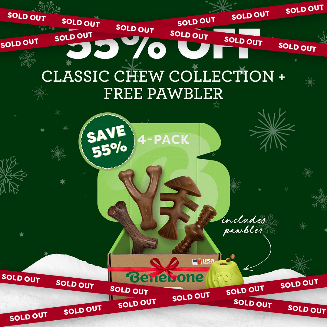 Box of dog chews shaped like sticks and branches, labeled SAVE 55% and Classic Chew Collection + Free Pawbler. The image is overlaid with red SOLD OUT banners and a green winter-themed background.
