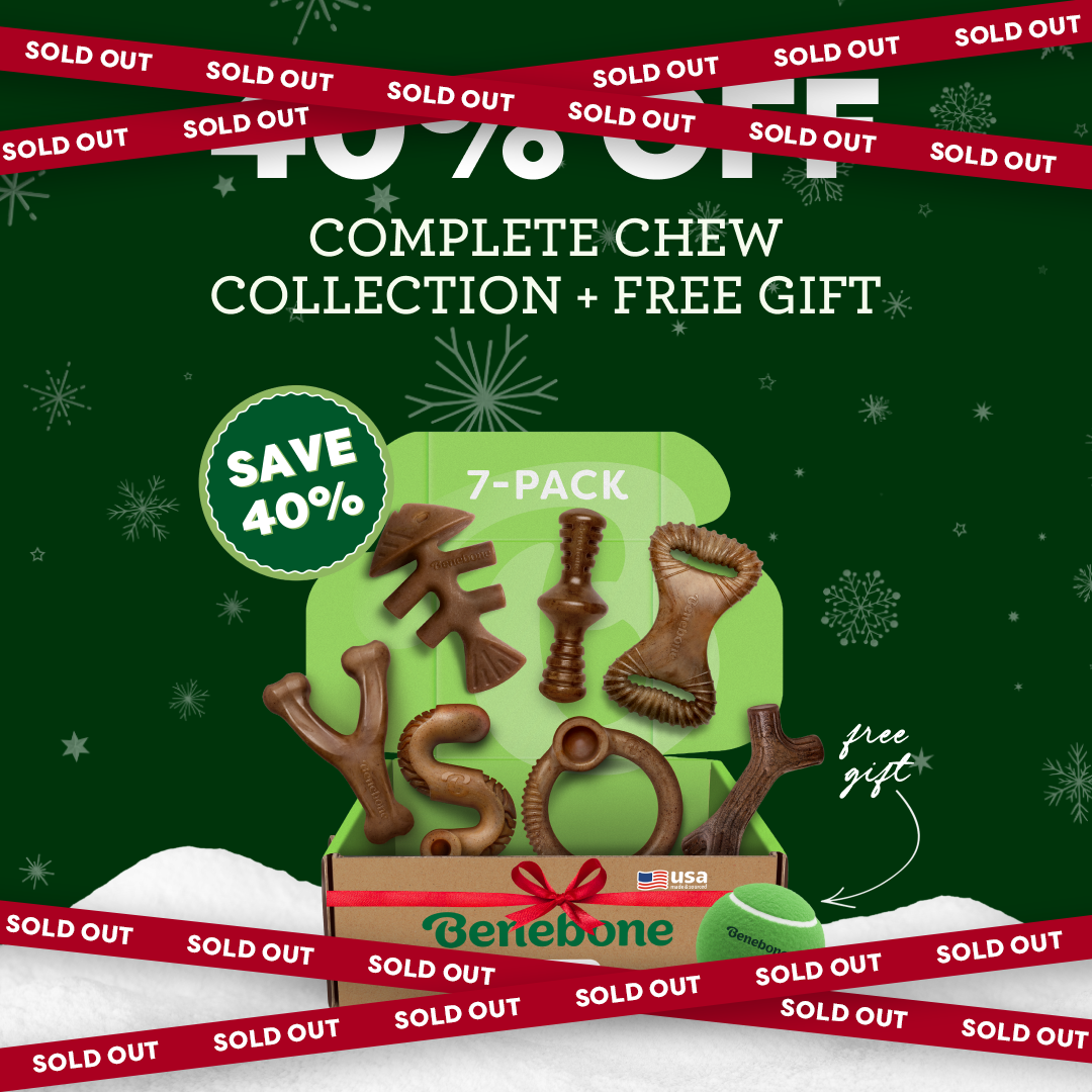 A holiday-themed ad for Benebones 7-pack complete chew collection featuring various dog chews in a gift box, labeled SAVE 40% and free gift, with SOLD OUT banners across the image.