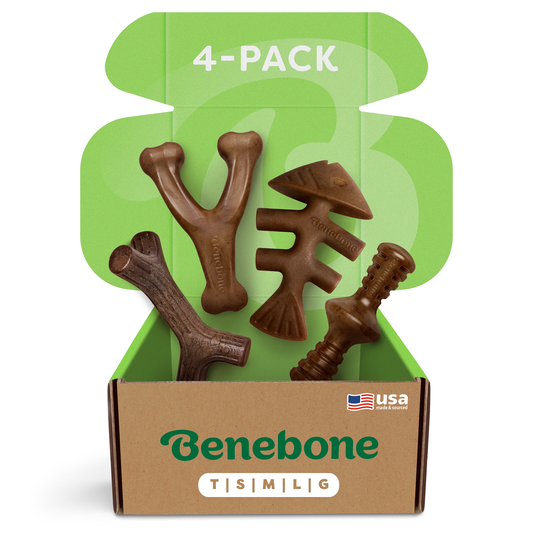 A Benebone Classic Chew Collection (4-Pack) of durable dog toys in various shapes is shown in an open box beneath a green lid, featuring a small USA flag icon.