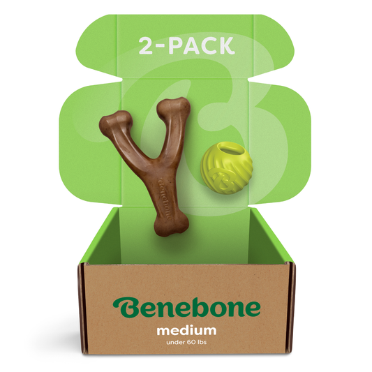 Open Benebone Chew & Fetch Duo box displaying a brown Y-shaped chew toy and a yellow textured ball, sold as a 2-pack for medium dogs under 60 lbs.
