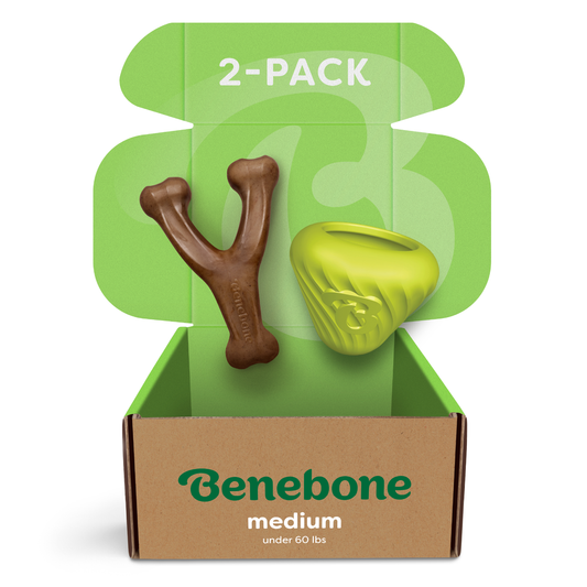 An open green and brown Benebone Chew & Treat Duo box for medium dogs under 60 lbs displays two dog chews—a brown Y-shaped bone and a yellow-green geometric chew—with 2-PACK printed on the inside lid.