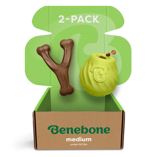 Open Benebone Chew & Challenge Duo box labeled 2-pack; inside are a brown Y-shaped chew toy and a green treat-dispensing toy, both for dogs under 60 lbs.