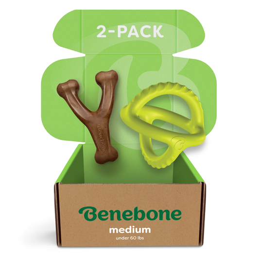 A cardboard box labeled Benebone Chew & Tug Duo (2-Pack) contains two durable dog toys: a brown Y-shaped bone and a yellow circle. The open box shows 2-PACK inside the lid on a green background, suited for dogs under 60 lbs.