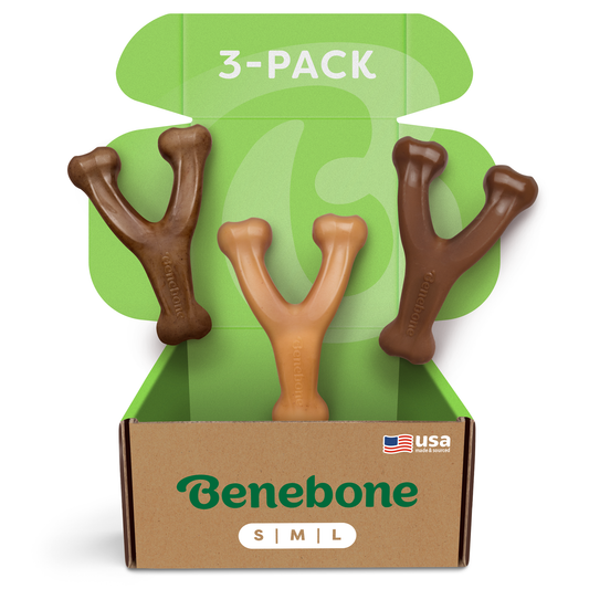 A cardboard box labeled Benebone contains three brown Wishbone Trio (3-Pack) dog chews, each in a Y-shape. The box displays 3-PACK, SMALL, USA Made, and has a green interior.