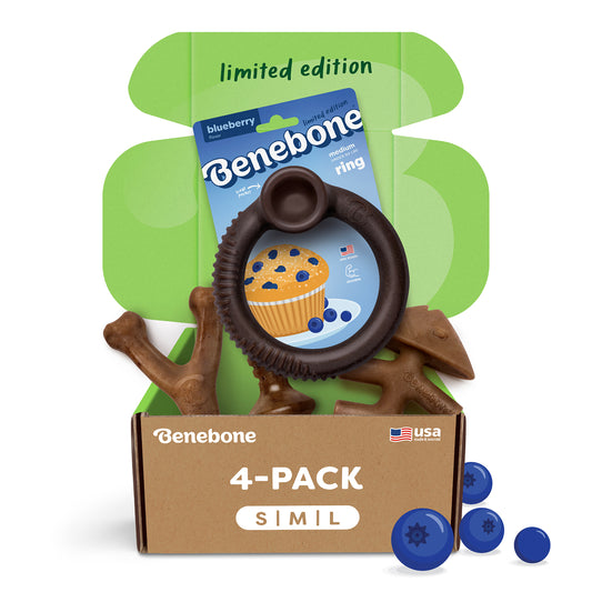 Open Benebone Limited Edition Peppermint Chew Collection 4-Pack with durable dog chew toys inside, a festive green lid, and a peppermint-flavored chew ring in front of a mint leaf graphic. Loose peppermint candies nearby.