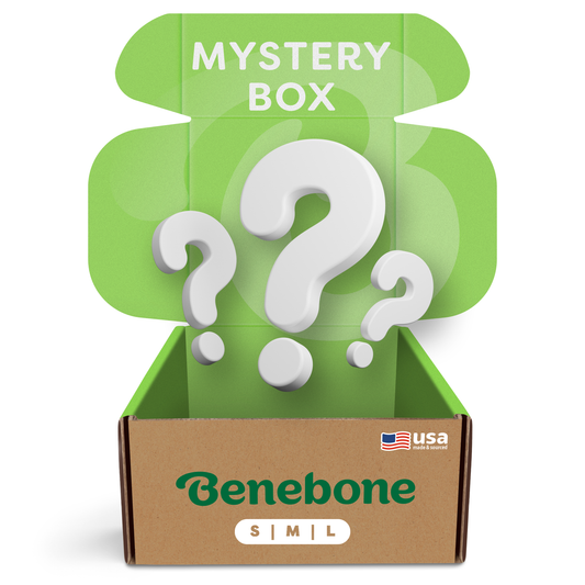 An open cardboard box labeled Benebone Mystery Box features an American flag and "Made in USA," with a green lid reading "MYSTERY BOX" and large white question marks—perfect for discovering new durable dog toys.