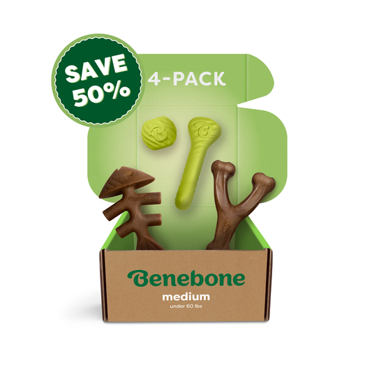 Open cardboard box labeled Benebone (Chew & Chase Collection, 50% off) contains four durable nylon chews, with 4-PACK text on the inside lid.