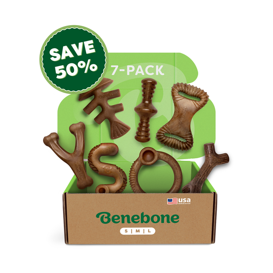 A cardboard box labeled “Benebone Complete Chew Collection (50% off)” shows seven durable dog chew toys by Benebone, with a green “SAVE 50%” badge and USA flag icon. The white background features green accents.