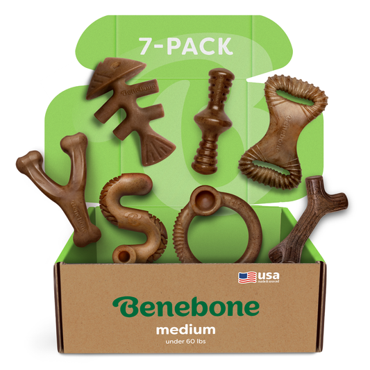 An open Benebone Complete Chew Collection box labeled “medium, under 60 lbs” holds six brown nylon chews. The 7-pack, featuring a USA flag and green lid, offers durable dog chew toys from Benebone.