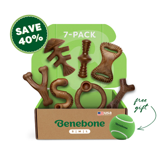 An open Benebone Complete Chew Collection (7-Pack) box shows seven real flavor dog chews in different shapes. A green tennis ball marked “free gift” is beside it. Text on the image reads “SAVE 40%” and “7-PACK.”.