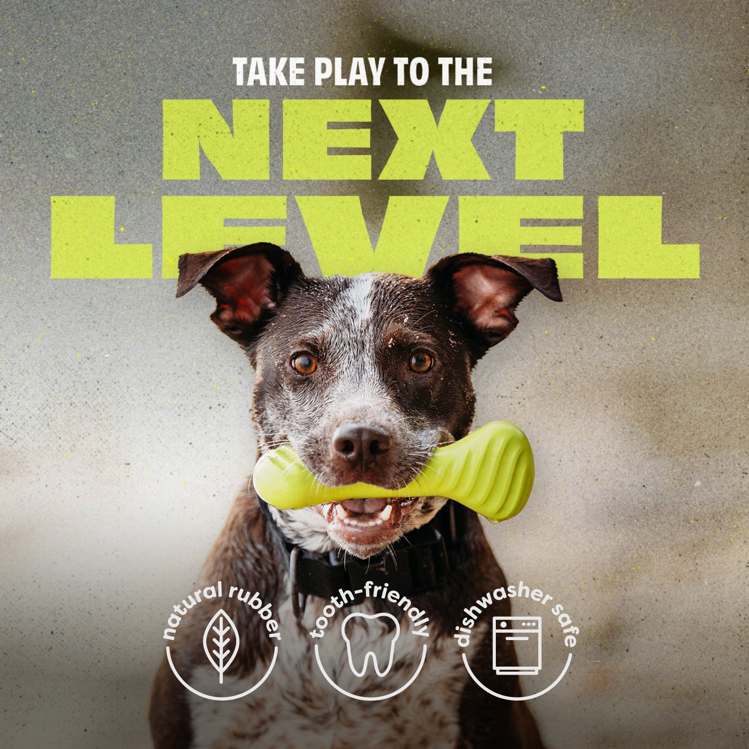 Take Play to the Next Level: the Benebone Bounce Bone is Made with Natural Rubber, Tooth-Friendly, and Dishwasher Safe.