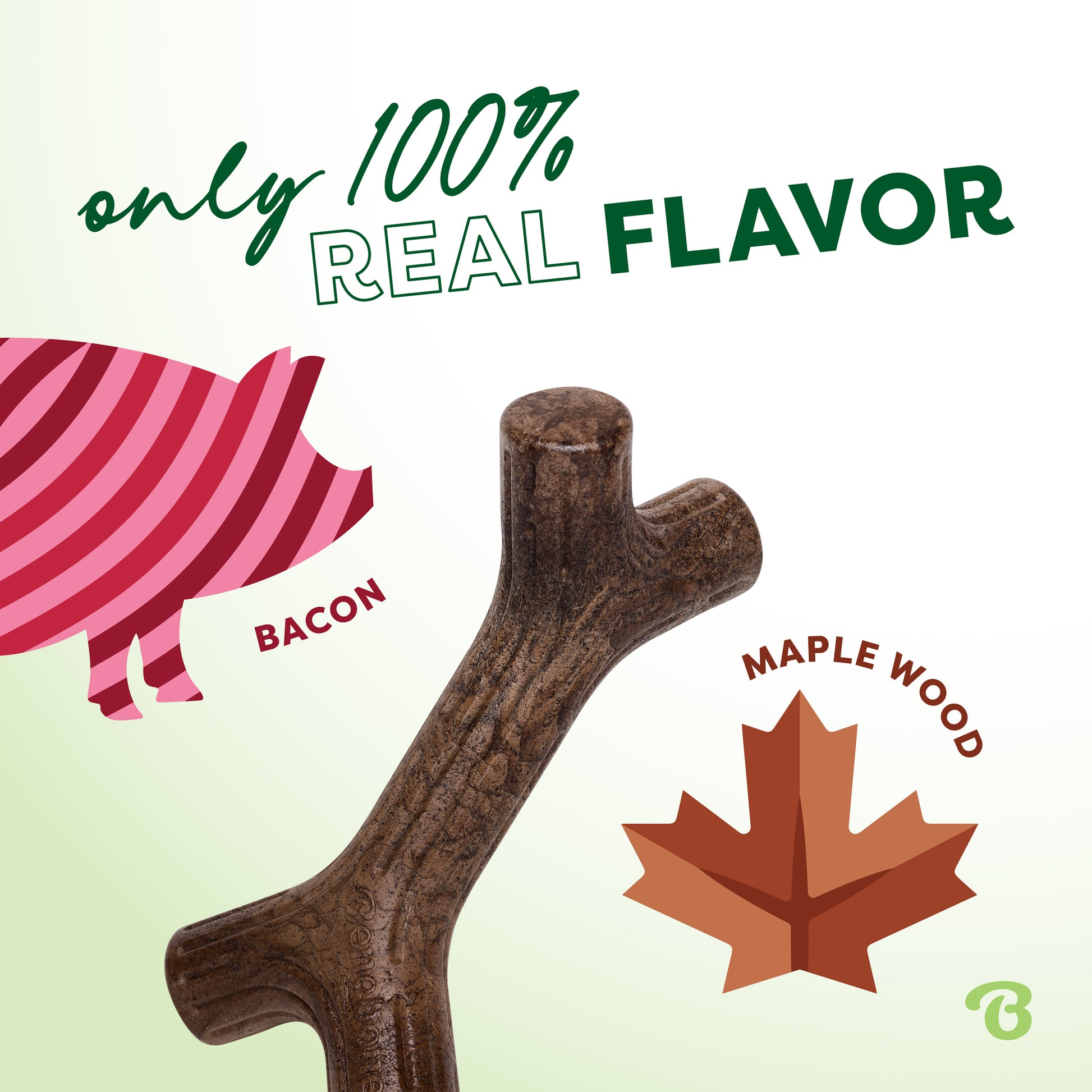 A graphic shows a stylized pig labeled bacon, a maple leaf labeled maple wood chew, and a wooden stick. Text reads “only 100% real flavor”—the Benebone Stick is a durable dog toy in green and pink your pup will love.