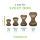 Benebone Dental Chew toys in Tiny, Small, Medium, and Large sizes are displayed next to a pencil for scale. Each bacon-flavored chew has size and weight guidelines beneath it. The text says “a size for EVERY DOG.”.