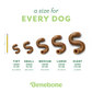 A size chart for Benebone Tripe Bone durable nylon dog chew toys compares five sizes—Tiny, Small, Medium, Large, Giant—next to a pencil for scale, each labeled with dog weight limits and dimensions. Text: a size for EVERY DOG.
