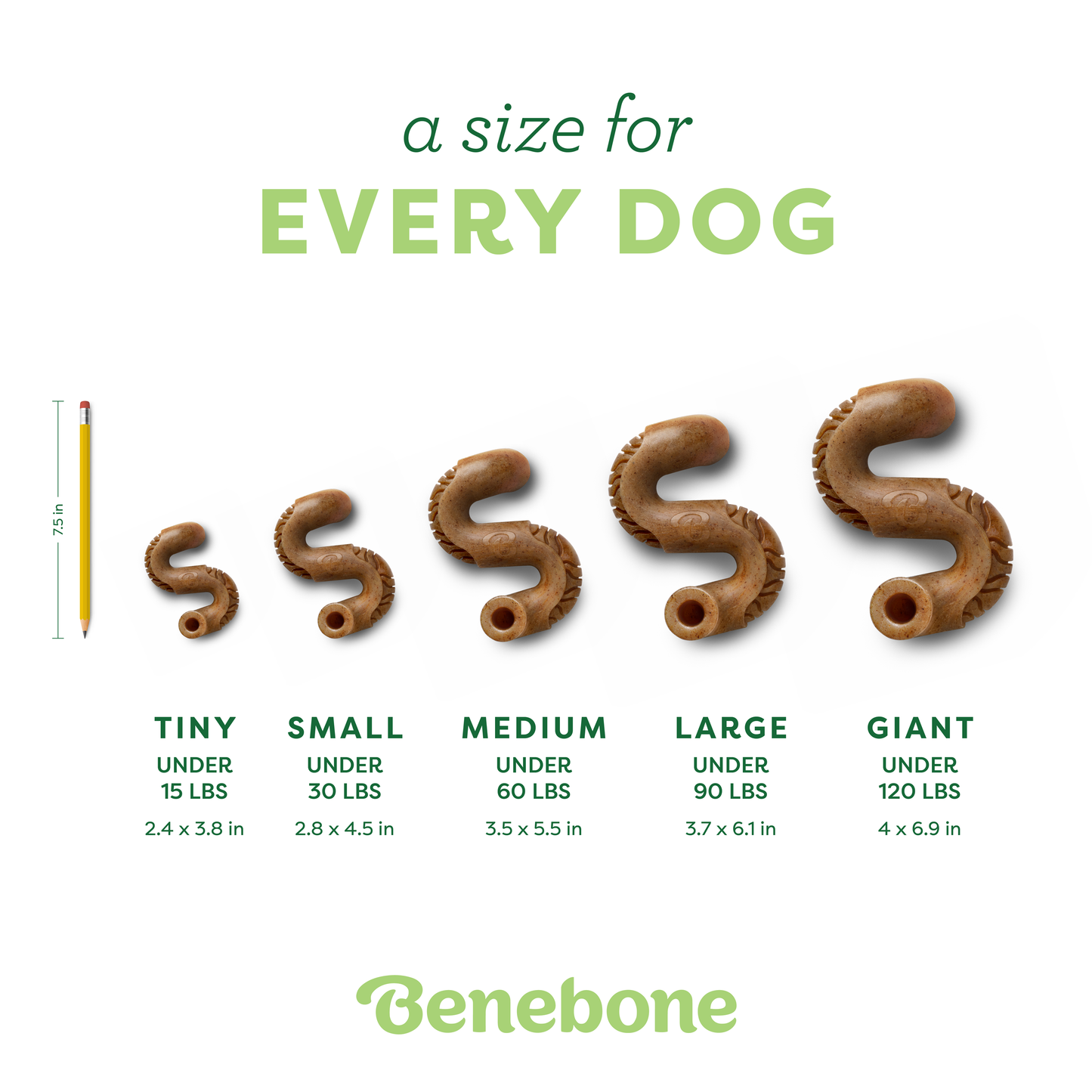 A size chart for Benebone Tripe Bone durable nylon dog chew toys compares five sizes—Tiny, Small, Medium, Large, Giant—next to a pencil for scale, each labeled with dog weight limits and dimensions. Text: a size for EVERY DOG.