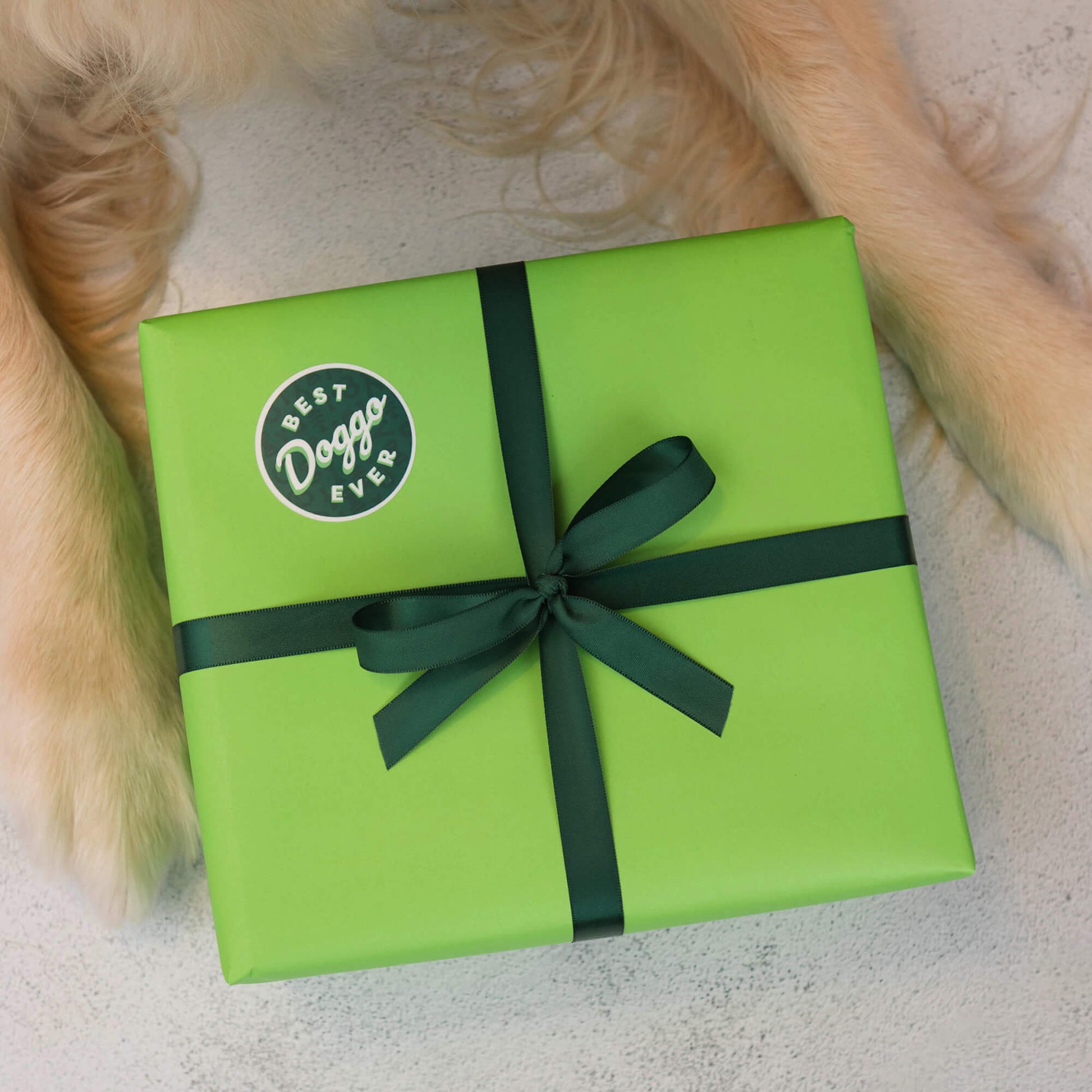 A green gift box with a dark green ribbon and a “Best Doggo Ever” sticker sits on a light surface with dog paws in the background—perfect for gifting Benebone’s Limited Edition Chew Collection (4-Pack) or other durable dog chew toys.