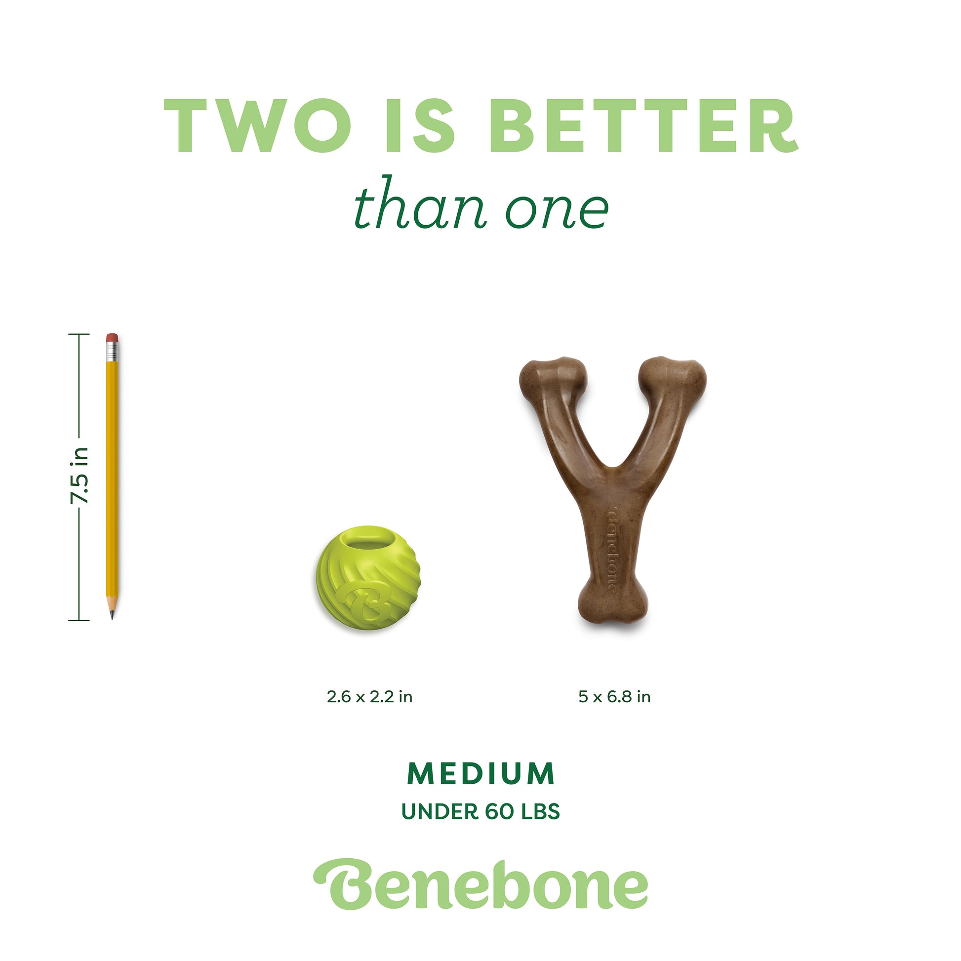 Compare a 7.5 in pencil, a 2.6 x 2.6 in green ball toy, and the Benebone Chew & Fetch Duo (5 x 6.8 in)—a bacon-flavored, durable dog chew toy for medium dogs under 60 lbs. Two is better than one from Benebone!.